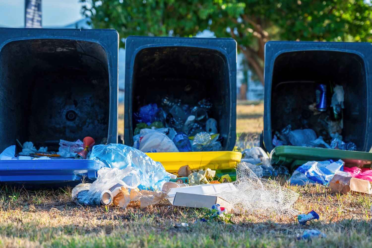 Best Office Junk Removal  in USA